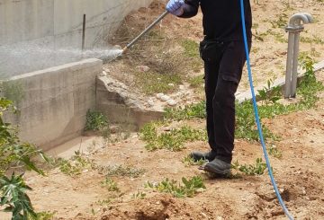 הדברת עשבייה על ידי מדביר של רגב הדברה